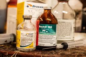 الأدوية العلاجية البيطرية