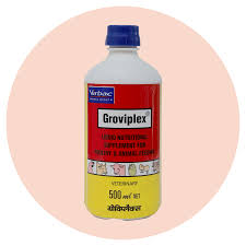 المكملات الغذائية للحيوانات